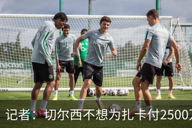 记者：切尔西不想为扎卡付2500万镑，球员已33岁且合同剩2年